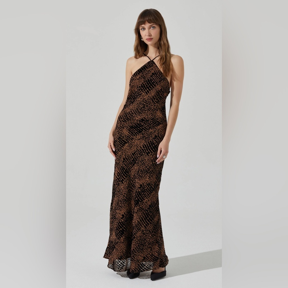 Astr the Label Briotte Velvet Burnout Maxi Dress